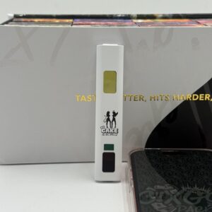 cake-disposable-she-hits-different