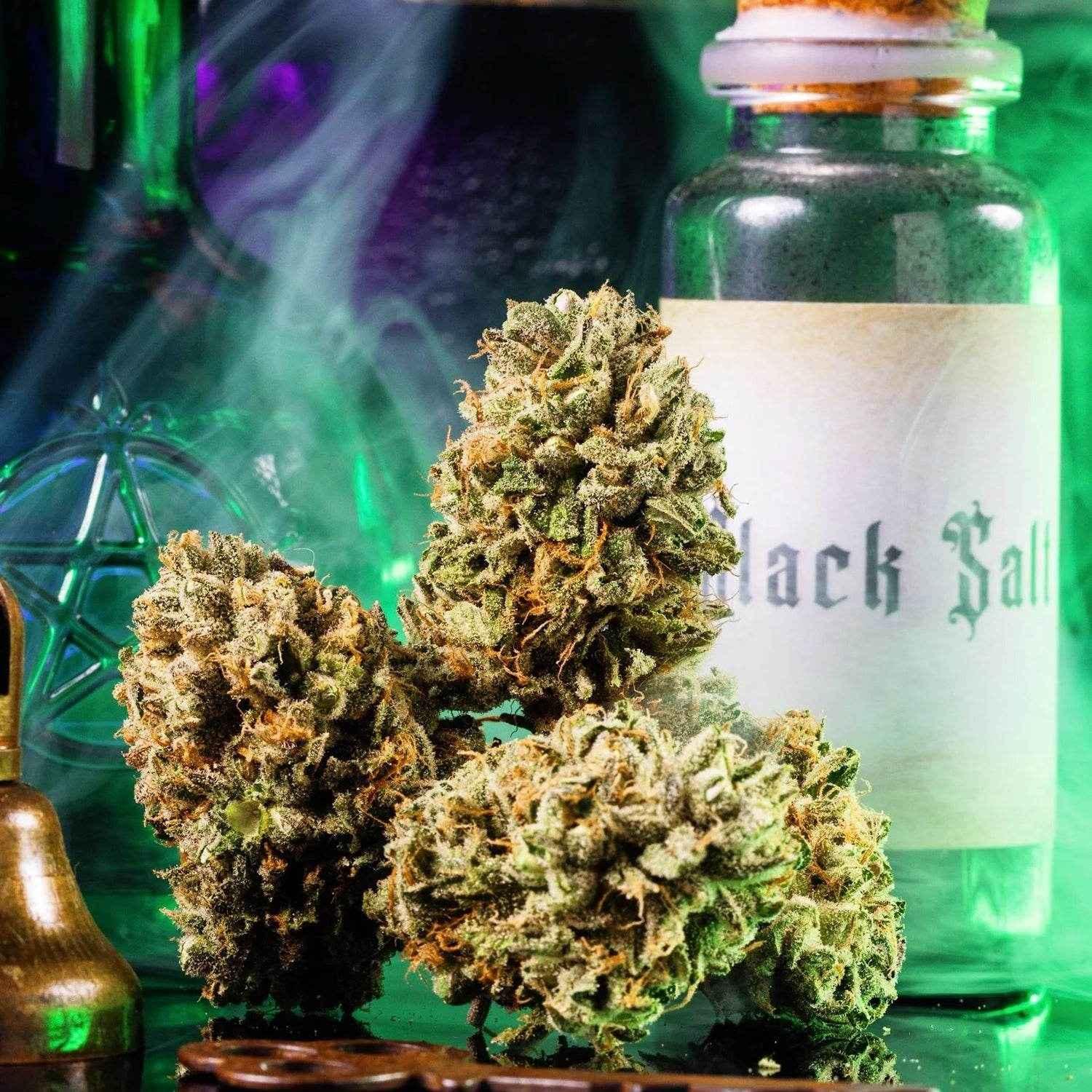 Big Z | Wizard Trees