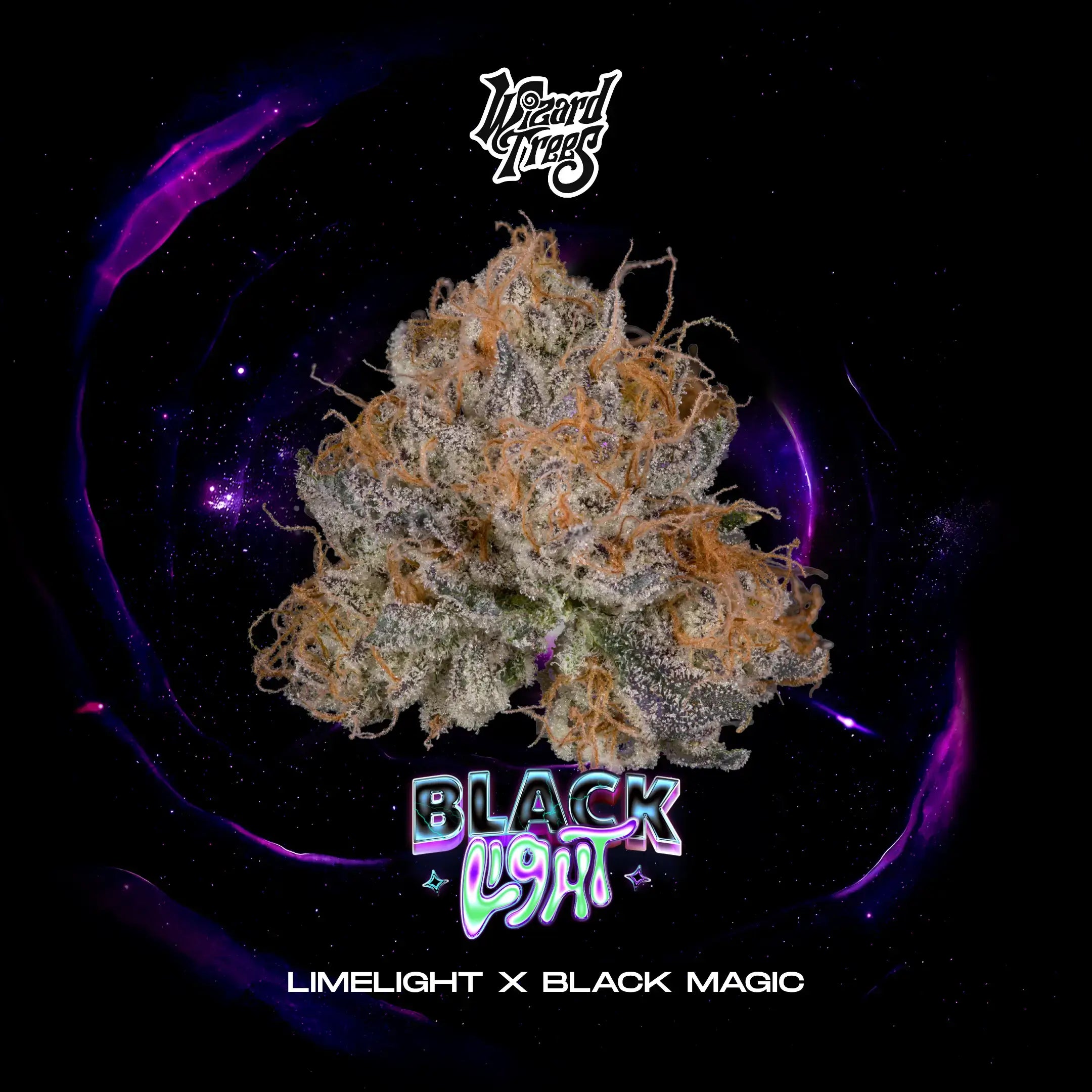 Black Light | Wizard Trees