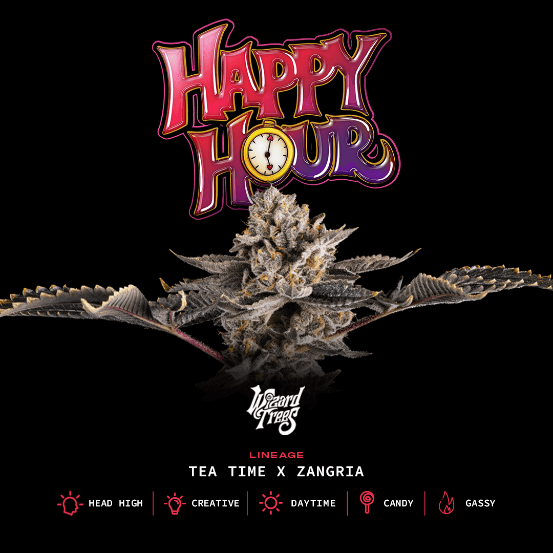 Happy Hour | Wizard Trees
