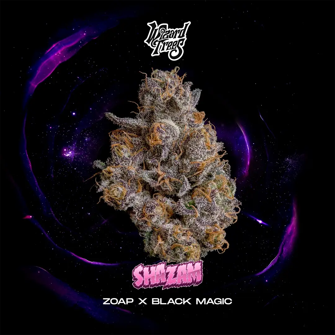 Shazam | Wizard Trees