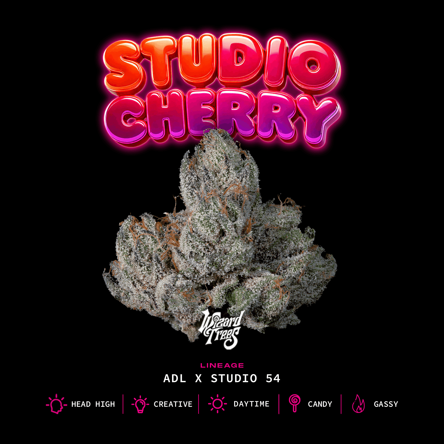 Studio Cherry | Wizard Trees