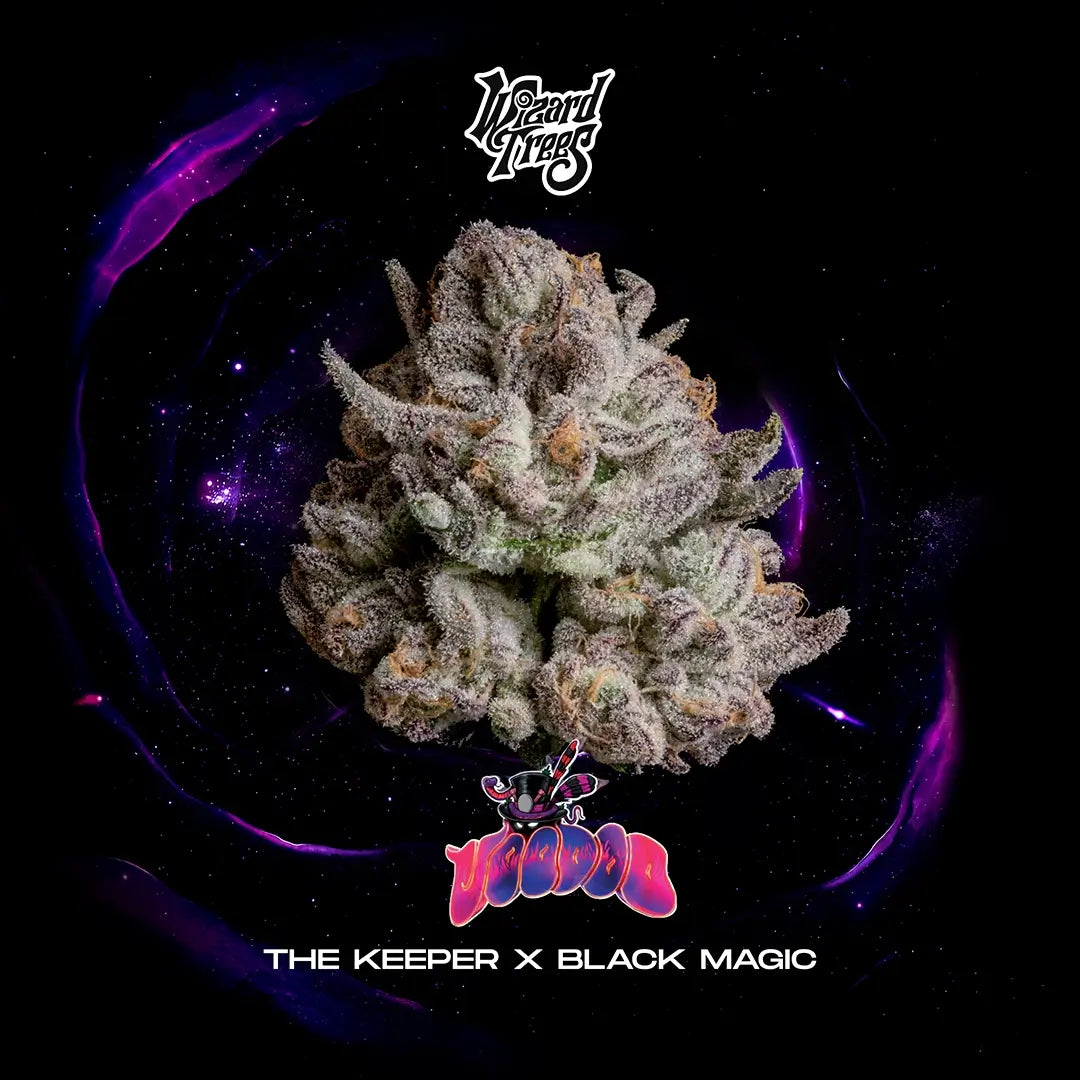 Voodoo | Wizard Trees