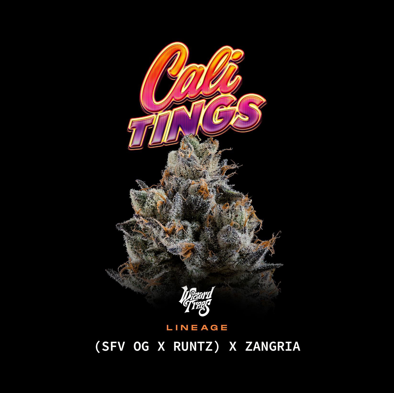 Wizard Trees - Cali Tings (SFV OG x Runtz) x Zangria