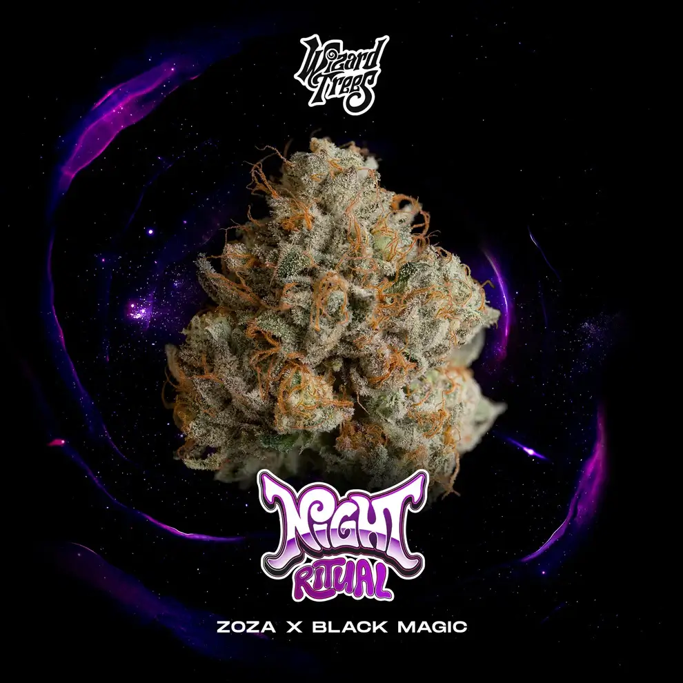 Wizard Trees - Night Ritual (ZOZA X BLACK MAGIC)