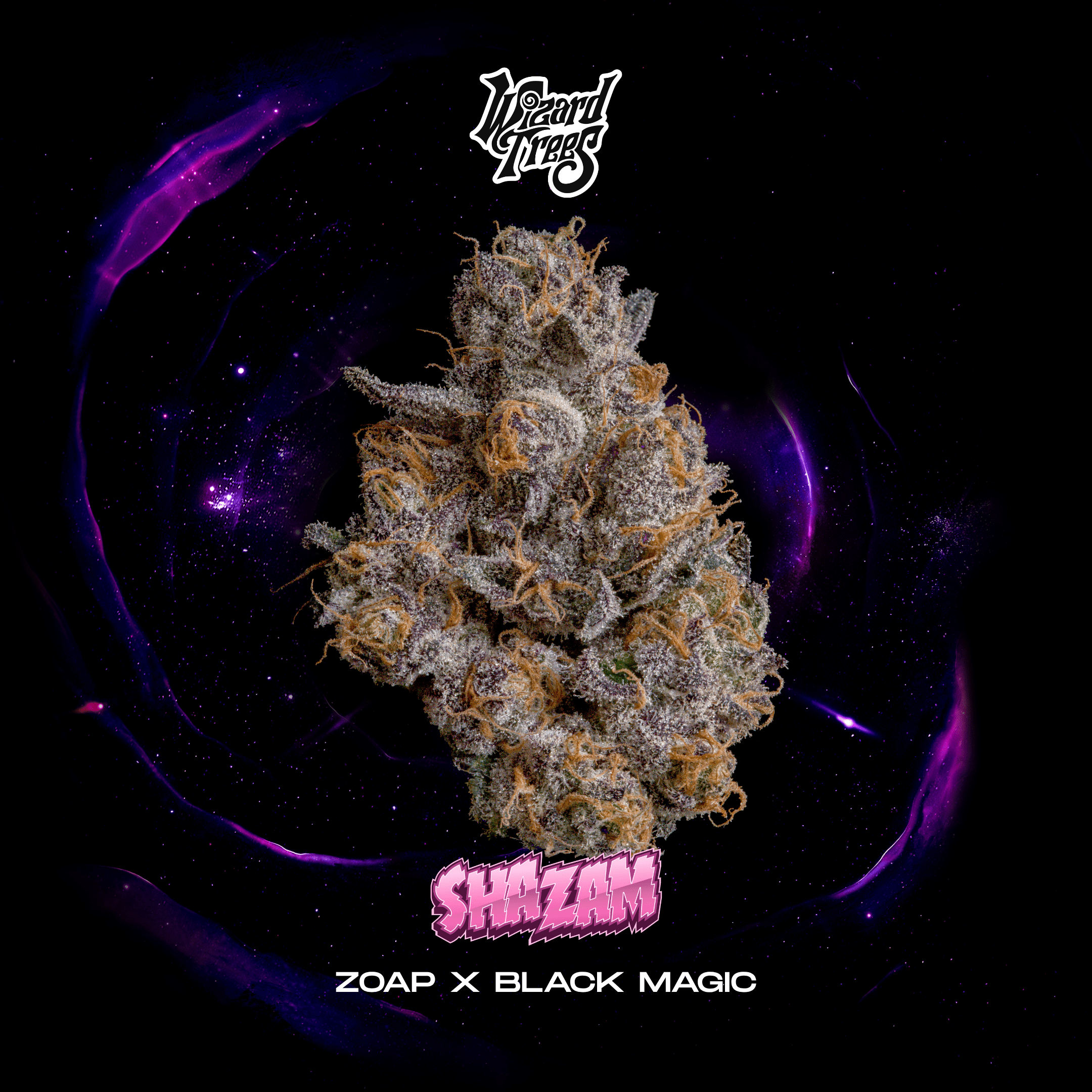 WIZARD TREES - SHAZAM (ZOAP X BLACK MAGIC)