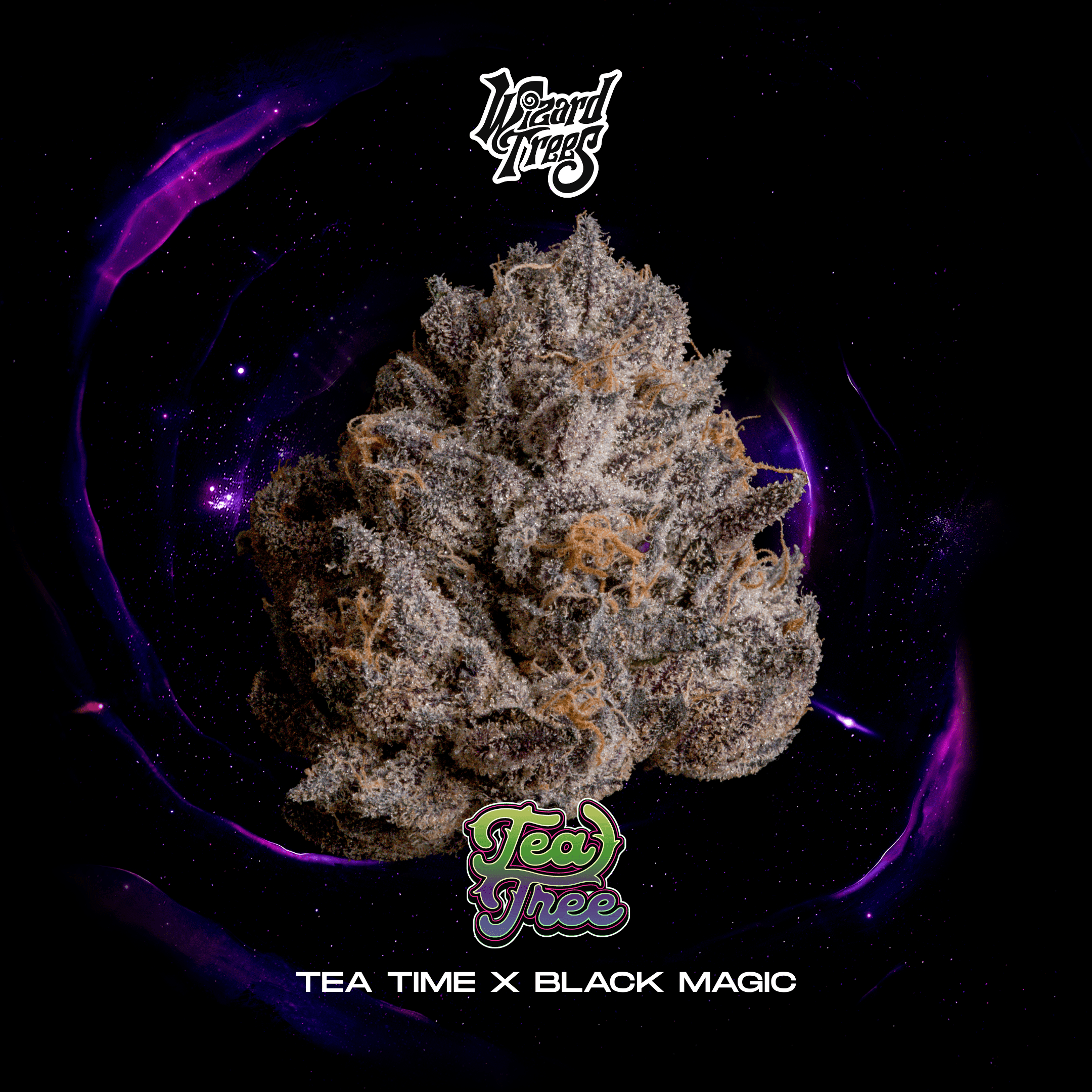 WIZARD TREES - TEA TREE (TEA TIME X BLACK MAGIC)